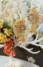 Load image into Gallery viewer, Sokyah Grey Colour Tokri Earrings freeshipping - CASA ROZEN