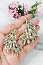 Load image into Gallery viewer, Isa Bella Silver Crystal Earrings freeshipping - CASA ROZEN
