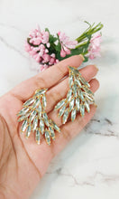 Load image into Gallery viewer, Isa Bella Silver Crystal Earrings freeshipping - CASA ROZEN