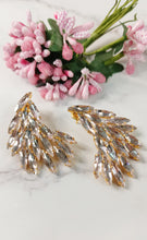 Load image into Gallery viewer, Isa Bella Mellow Pink Earrings freeshipping - CASA ROZEN